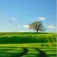 谷‍歌​分​析​是‌做‌什‍么‍用‍的​